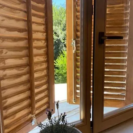 Apartman Kala Biograd Na Moru Exteriér fotografie